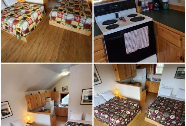 Denali's Alaskan Spruce Cabins