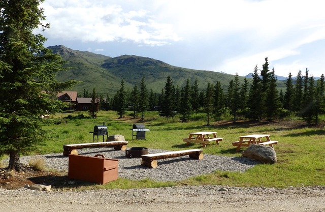 Denali Wildlife Caribou Cabin Luxury with a touch of Rustic.