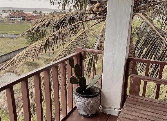 Dikaloha Surfschool and Stay