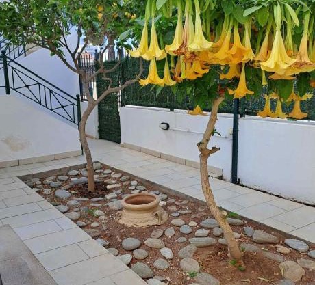 Dimitris place near Athens airport