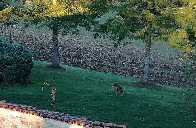 Domaine de la REBIERE de la POUYADE de MONGEOFFROY