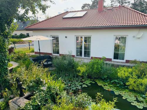 Domizil am Branitzer Park