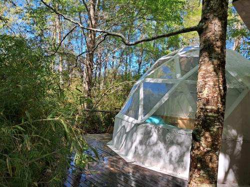 Domos Conguillío - Glamping Domo