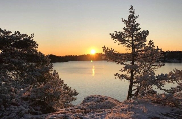Drömstuga i Stockholms Skärgård