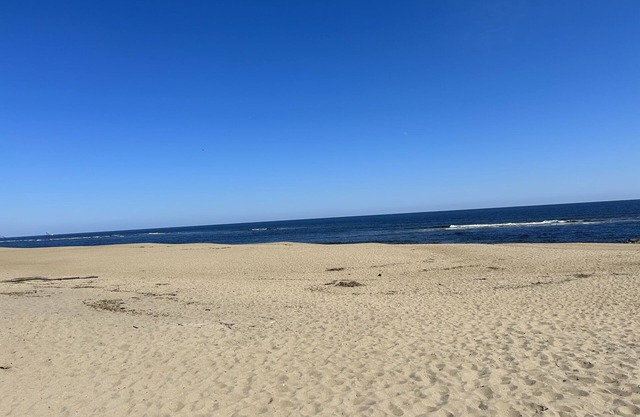 DUNESCAPE - Oceanfront -Vacation Retreat!