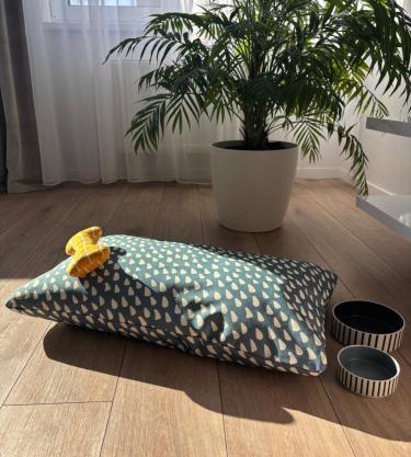 Dvojizbový apartmán v centre