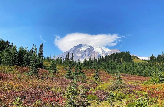 Easy access to malls, the airport, and family fun