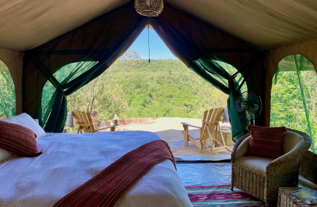 Echoes of Eden: Forest Haven