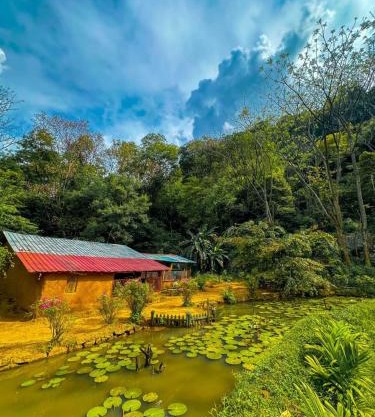 Eco Lodge Meemure & Adventure Park