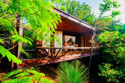 EcoLodge a casinha da floresta