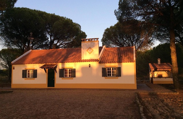 Enjoy the beauty of the Alentejo. House set in pine forest and near the beautiful beaches