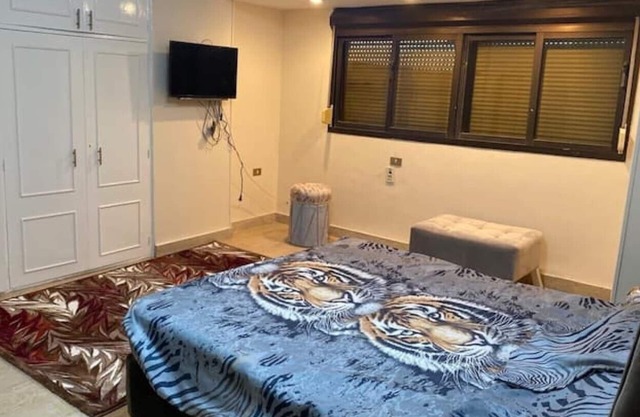 Entire Apartment - Amazing Nile View