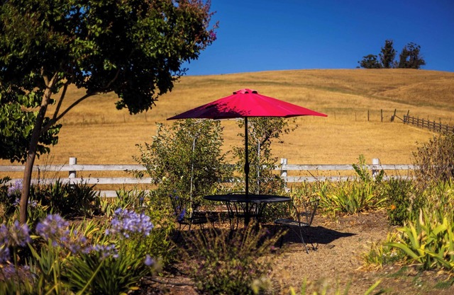 Escape to a Charming 1 Bed Casita on a Sonoma Farm
