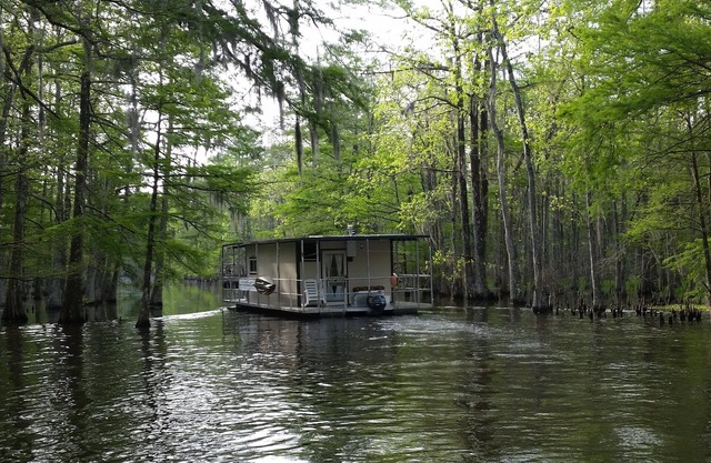 Explore the bayous of South Louisiana on your own! * Ask about 4dy SPEACIAL! *