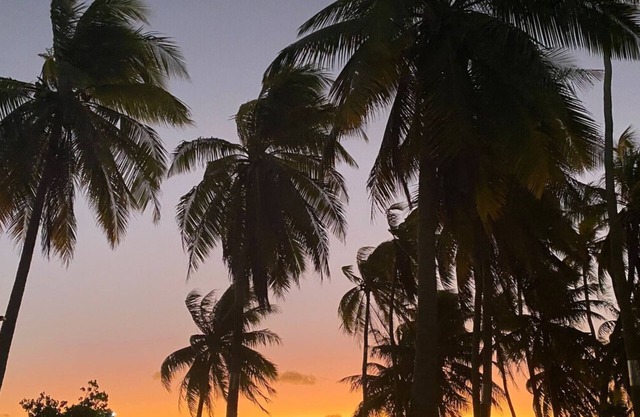 FAKARAVA-Fare Coco 2