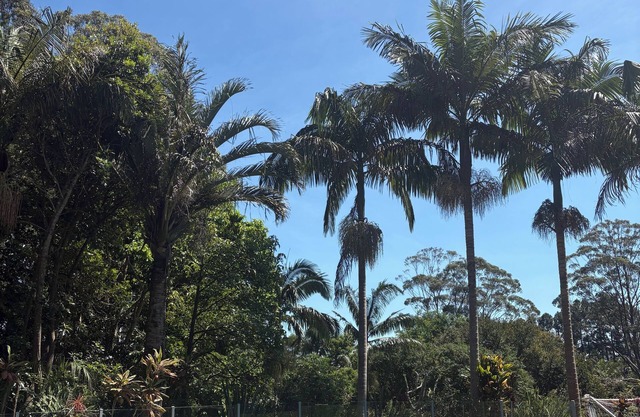 Family friendly colourful home with pool, sauna and spacious garden