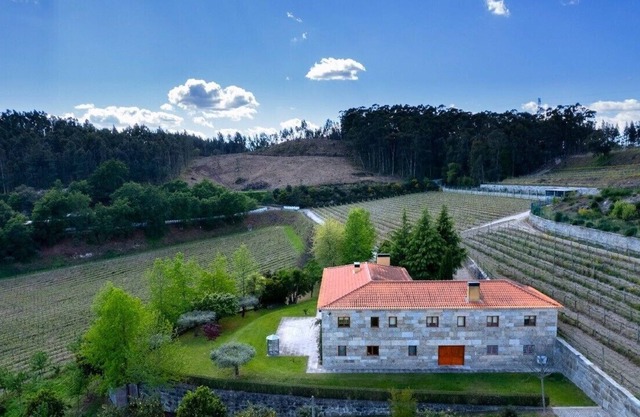 Farmhouse - nature, peace and tranquility (near Guimarães)