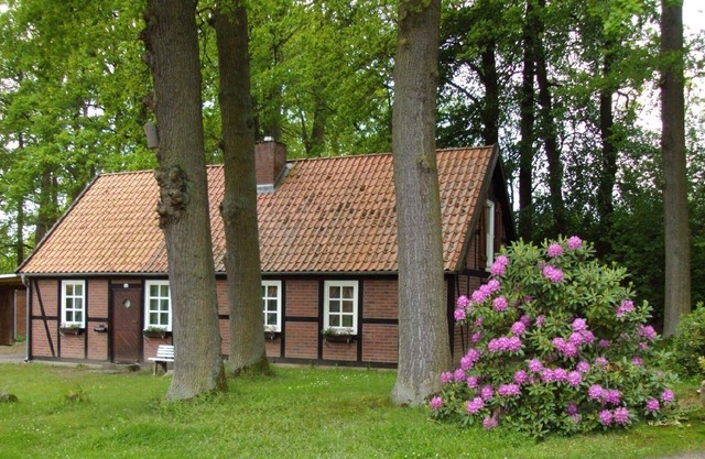 Ferienhaus für 6 Gäste mit 115m² in Thomasburg