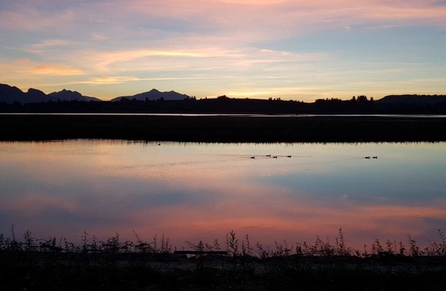 Ferienwohnung/app. für 4 Gäste mit 55m² in Schwangau