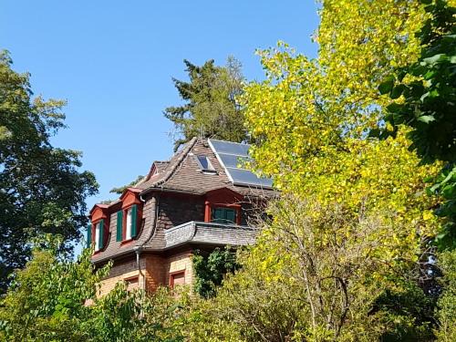 Ferienwohnung Unterm Tulpenbaum