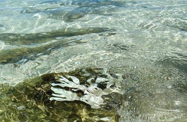 Firstclass rental accommodation in a singlestor /Oshimagun Kagoshima