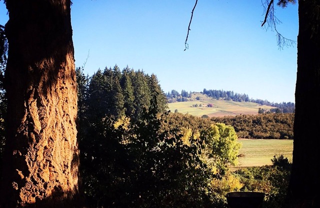 Flower Farm with Vineyard Views