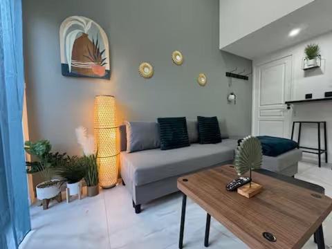 Flower power in Lyon neuf climatisé avec terrasse