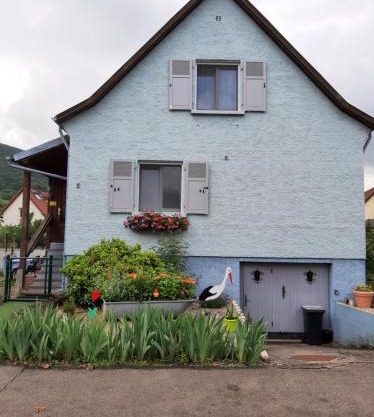 Gîte les chiwawas d'Alsace