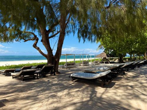 Galu Ecolodge - Diani Beach