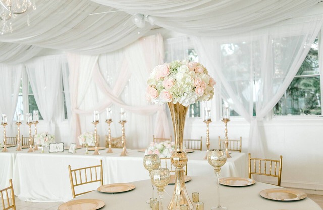 Georgia Palms & Gardens