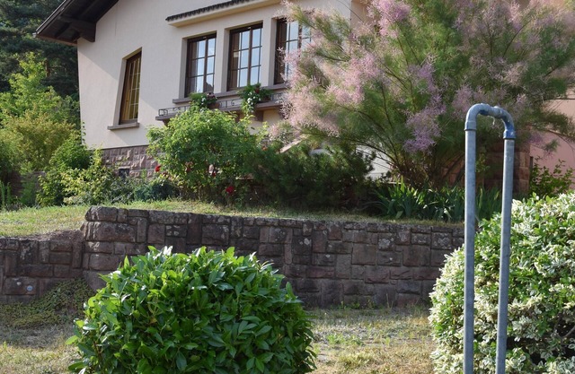 Gite de la Fontaine: gite * on the heights of Val d´Argent center Alsace