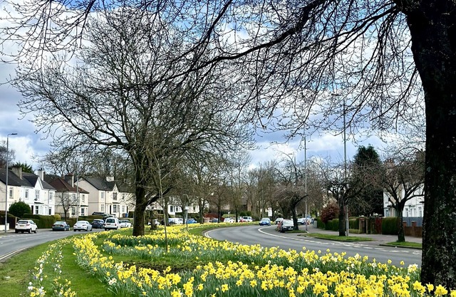 Glasgow New Modern home, separate entrance,free parking