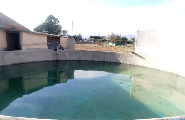 Global Villa Paquita, house with bbq and pool