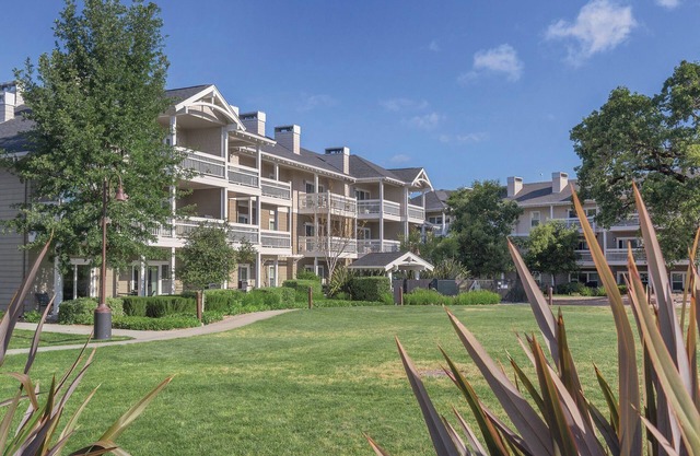 Gorgeous Resort in California Wine Country, Windsor!