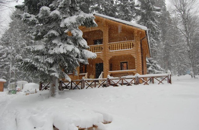 Guest House Lesogorie