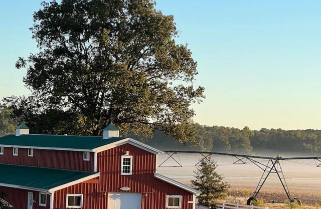 Guesthouse Front Suite