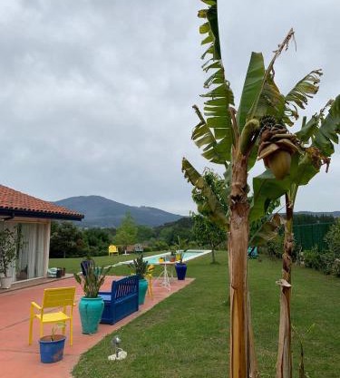 Habitación en la naturaleza 1