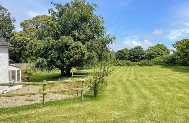 Hafod Fach - UKC6956