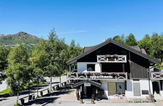 Hemsetunet Apartments