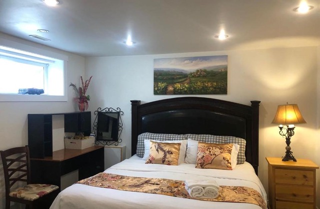 Hidden Valley basement suit H