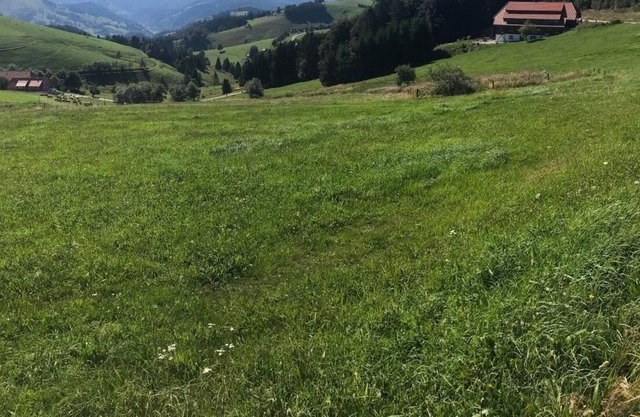 Holiday apartment Malsburg-Marzell for 4 - 6 persons with 2 bedrooms - Holiday apartment