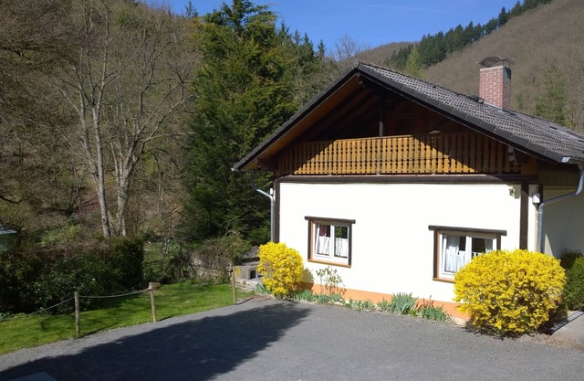 Holiday home in a beautiful woodland setting in the Rheingau