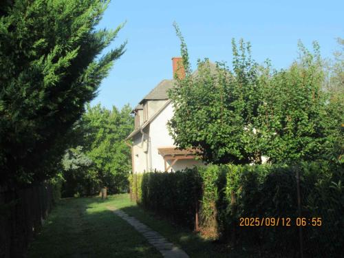 Holiday home in Csopak - Balaton 18315