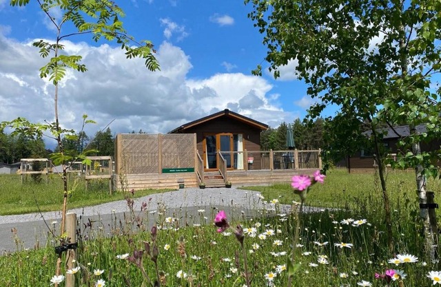 Hollicarrs - Newlands