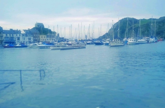 Hollies and Ilfracombe Harbour View