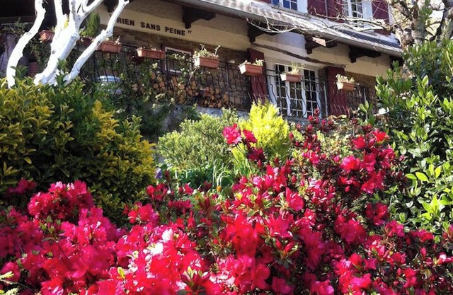 Homerez - House in Cuxac-Cabardès