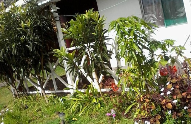 Honu Rapanui Lodge accredited in Sernatur (