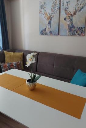 HostEx Meraki Apartment