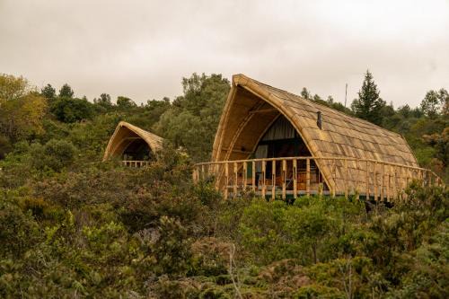 Hotel Casa Selvaggio