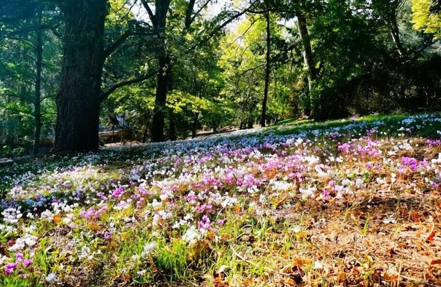 Hotel La Tourelle du Beffroi